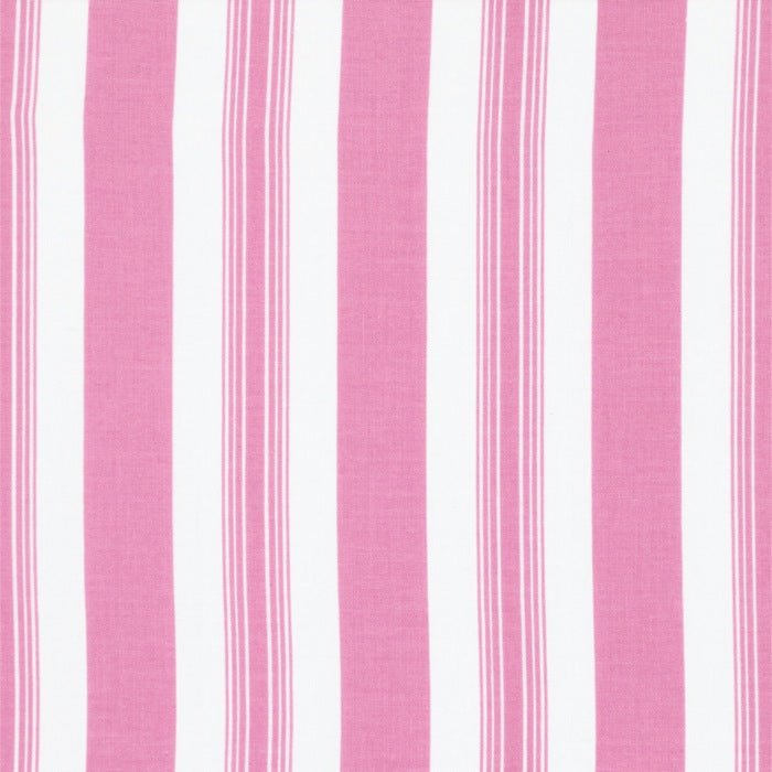 Sunshine Rose - Pink Stripe
