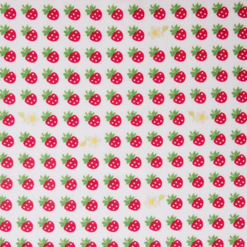 Sevenberry Strawberries on White