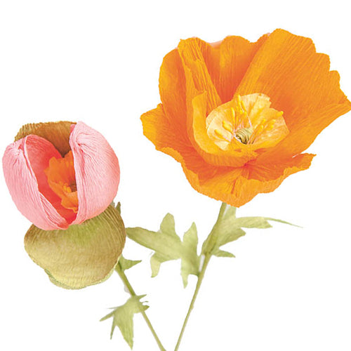 Paper Flowers Templates - Chrysanthemum & Poppy
