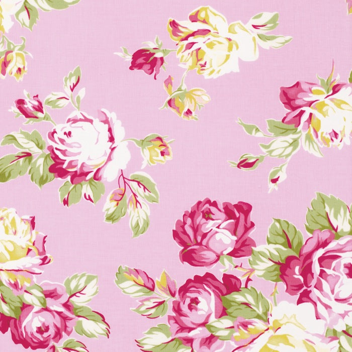 Sunshine Rose - Pink Sunshine Rose