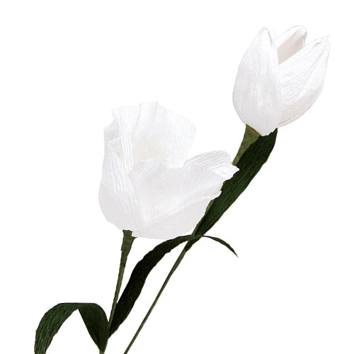 Paper Flowers Templates - Rose & Tulip
