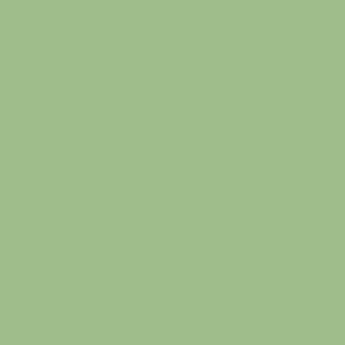 Tilda Solid - Fern Green